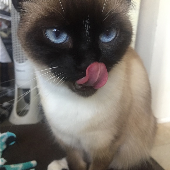 Meet your Posher, Catherine - Picture 2 of 10